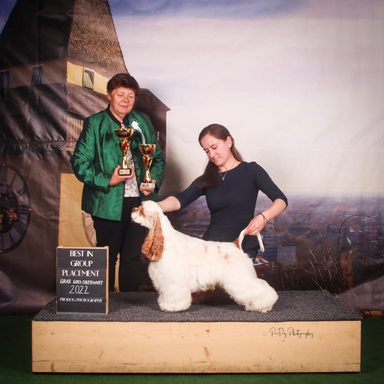 Cashew goes Oberwart